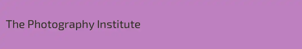 The Photography Institute